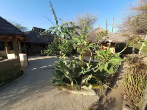Ecolodge BAKSUNGAN - Image 5