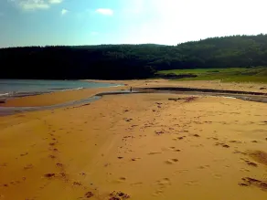 Year-round Vacation Rental - Fly Fishing, Golf, Beaches, Cabot Trail & More. - Image 4