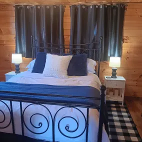 Cozy cabin with views of Lake Erie and colorful sunsets! - Image 3