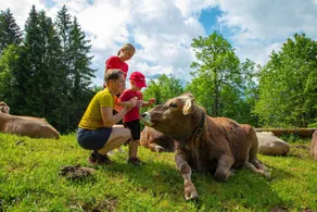 Studio - Sonne Bezau - Familotel Bregenzerwald - Image 3