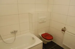 Wohnung mit Kamin Terrasse und Grill in der Nähe von Nürnberg - Image 5