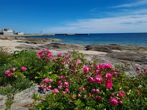 Petite Maison de Pêcheur à 10 m de la Plage, Avec Jardin Clos - Image 4