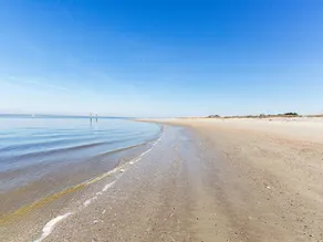 A Salty Senorita - Image 5