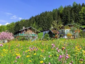 Ferienwohnung Untersberg für 1-4 Personen - Image 5