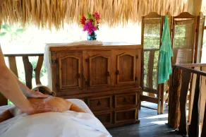 Fresh & bright suite, private kitchen, amazing garden view, walk to beach, yoga - Image 2