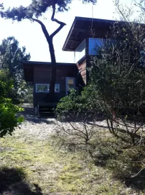 Arkitekt strandhus - Image 4