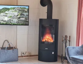 skandinavisches Ferienhaus in Mirow - Image 2