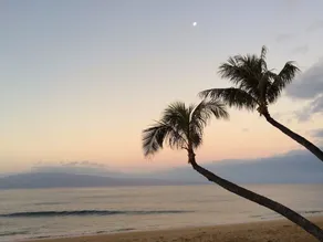 Maui Resort Rentals: Marriott's Maui Ocean Club 2 BR Island View Villa – New Napili Tower - Image 5
