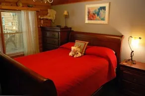 Bedste Log Cabin i Nevada City, Familie og dyrevenlige, større eller mindre grupper - Image 5