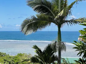 Monolocale in giardino tropicale, vista unica, molto vicino alla spiaggia - Image 3
