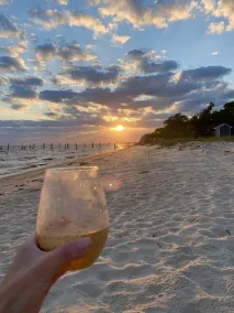 Beachfront - Ocean Springs Beach Vacation Getaway!  Breathtaking Sunsets! - Image 5