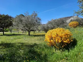 Discover the Daluis, Cians and Verdon gorges - Image 4