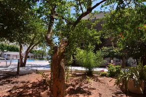 Sunny Resort Crete - Image 3