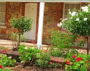 \"White Rose Cottage\" von Tenterfield Accommodation - Image 5