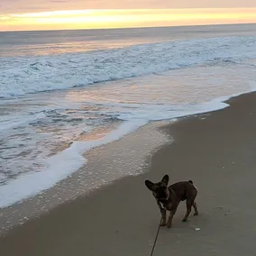 Et af de nyeste Oceanfront Condos på OBX- Hjørne 2 BR Betagende! - Image 3
