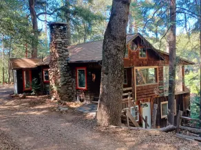 Peaceful 1920s Cozy Cabin snuggled in 100 ft Pines -Palomar Mt, Bailey Meadows - Image 4