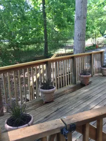 Quiet cove, deep water, minutes to Clemson, pet friendly, easy path to the dock - Image 5