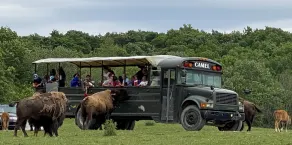 Hidden Valley Animal Adventure - Image 5