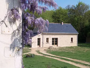 Starry dome: Noisille au Thoureil. Maine & Loire - Image 3