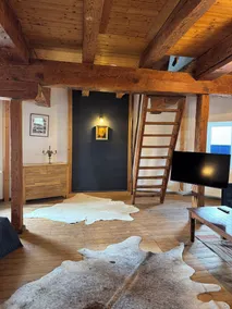 200 year old windmill as a vacation home near Greetsiel. Pet friendly! - Image 2