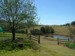 Hermitage Cottage Kurrajong - Image 4