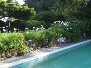 Daymer Apartment offers beautiful gardens, outdoor pool in summer and games room - Image 4