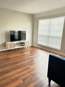Cozy 1 bedroom apartment in the city of of Buckhead - Image 2