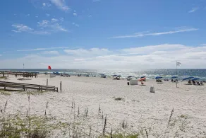 Escapes to the Shores #704 - Image 4