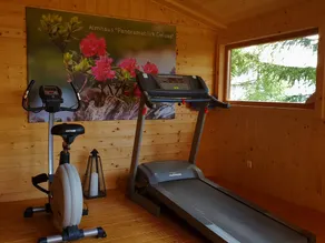 LUXURY ALMWELLNESS CHALET med fantastisk wellnessområde 1850 moh - Image 3