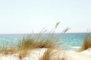 The pearl - Great enjoyment with peace and relaxation - Image 4