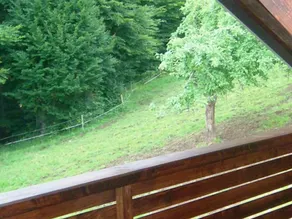 Sala Bio Waldblick com cozinha - Bio Bauernhof Mondsee Familie Schafleitner-Kroiß (3 flores) - Image 5