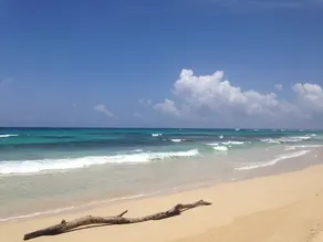 Back Packer’s Paradise - Image 4