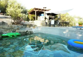 Studios - Appartments «Alogoporos» - Image 5