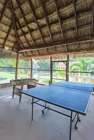 Enjoy a natural environment at Paradise Ranch - Image 2