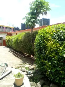 Freci Hotel - Image 4