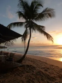 Holiday with the rich and famous on the West Coast of Barbados - Image 5