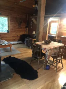 Beautiful Cabin in the woods  Allegany County NY - Image 5