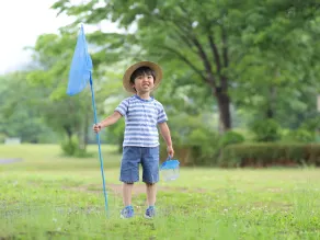 Ryokamisho - Image 2