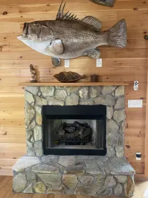 Cozy cabin w/ hot tub! Lake access w/ walk to pier - Image 2