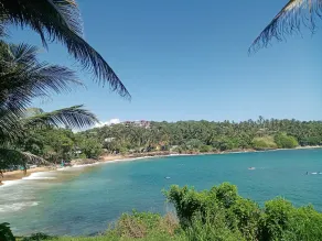 Surf Paradise Hotel  - Image 3