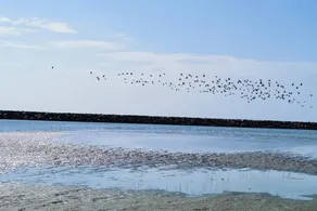8 person feriebolig i Ebeltoft-By Traum - Image 3