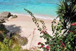 Secret Cove 4  | Beach Front - Located in  Tropical Saint James with House Cleaning Included - Image 4