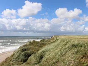 5 star holiday home in Ringkøbing - Image 4