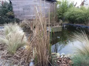 L'atelier du cottage-Cottage-Comfort-Bagno in camera-Vista giardino - Image 4