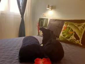 Appartement Central à Málaga avec Wi-Fi Gratuit, Climatisation et Proche des Plages - Image 5