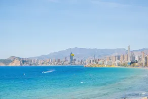 Bermudas 401 - Image 5