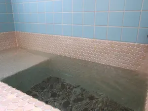 Kikuchi Onsen Houraikan - Image 3