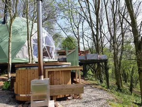 The Tree Dome - Retraite luxueuse de glamping - Image 2