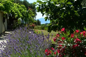 VILLAS ZOE, APARTMENT, Spectacular Views, Privacy, Peaceful Location - Image 5