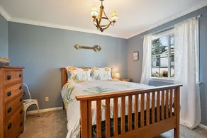 🌻 Charming Cottage On Peaceful 5 Acres in the Mountains - Image 3